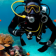 Dive Like a Pro: The Expert's Handbook on Essential Diving Rules